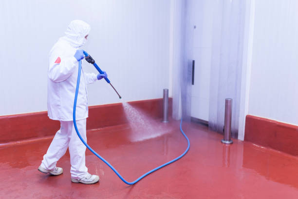 Best Playground Equipment Cleaning  in Little Elm, TX