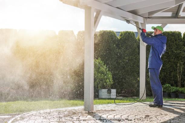 Best Gutter Cleaning  in Little Elm, TX