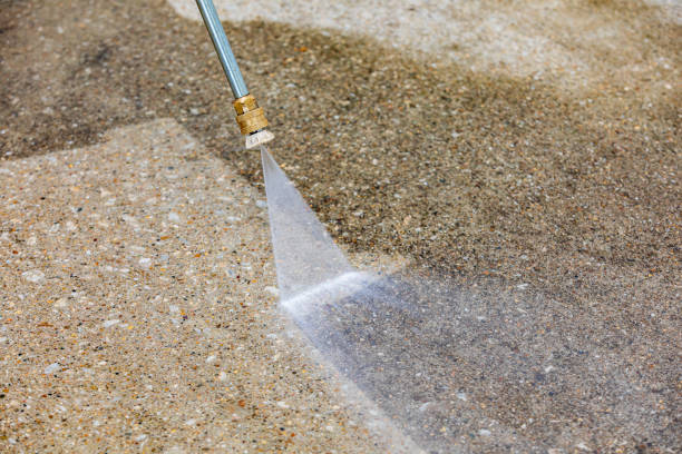 Best Fleet Vehicle Washing  in Little Elm, TX