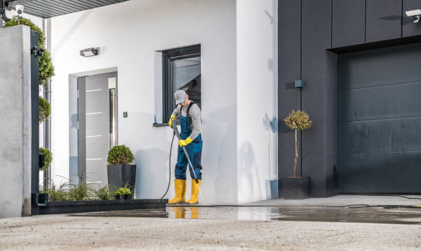 Best Pre-Holiday Cleaning  in Little Elm, TX